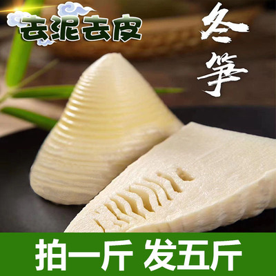 2025竹笋冬笋新鲜新鲜水煮笋野生竹笋春笋蔬菜火锅清水笋楠竹笋