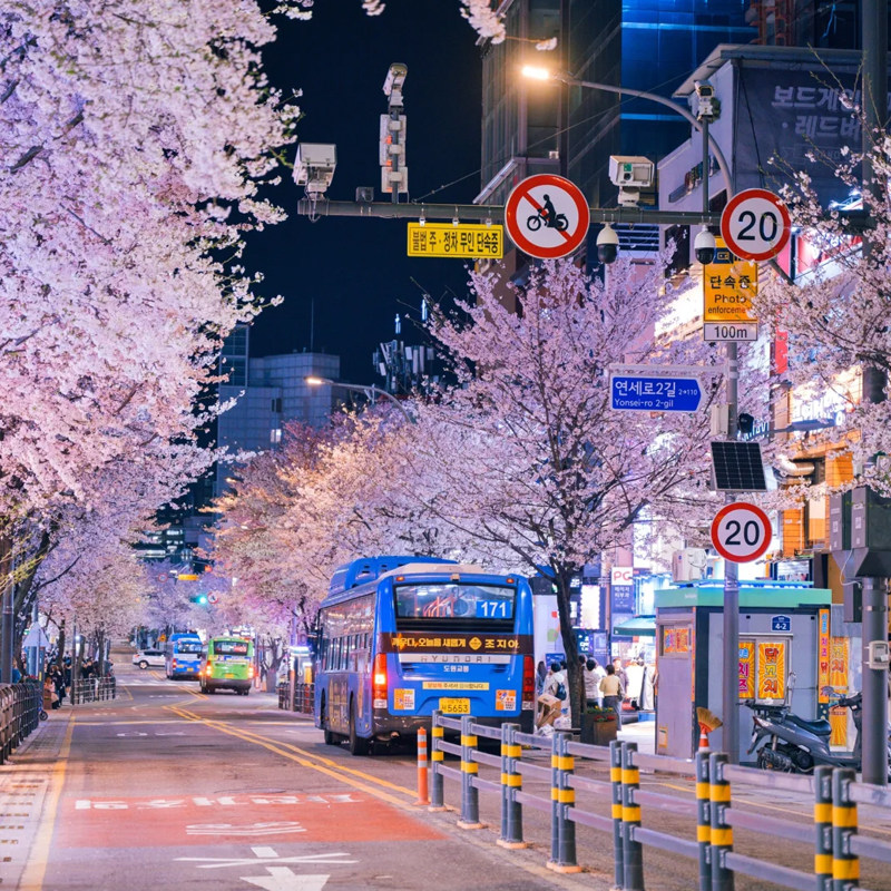 客房多带阳台可赏海景或城景，内饰豪华且配高端床品与音响 有儿童休息室等亲子设施，提供衣物熨烫等贴心服务，兼顾度假与家庭出行需求 实名预定保证入住，预定后可致电酒店查询 正规渠道直连，正品承诺护航，旅程省心更放心