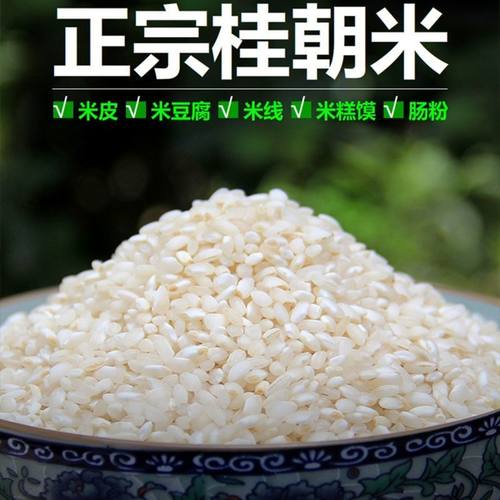 正宗桂朝米肠粉专用米糙米凉皮米粉米糕点河粉不粘糯商用批发