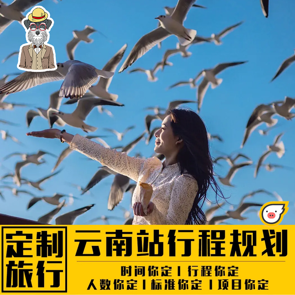 小众体验+经典景点:玉龙雪山日照金山+泸沽湖跳甲搓舞+大理洱海骑行 西双版纳泼水狂欢+梅里雪山日照金山+腾冲泡温泉+香格里拉土司家宴 亲子体验/闺蜜旅行/家庭出游/企业定制/单身组队应有竟有 住进风景里/一单一团/靠谱老司机带队/资深本土定制师