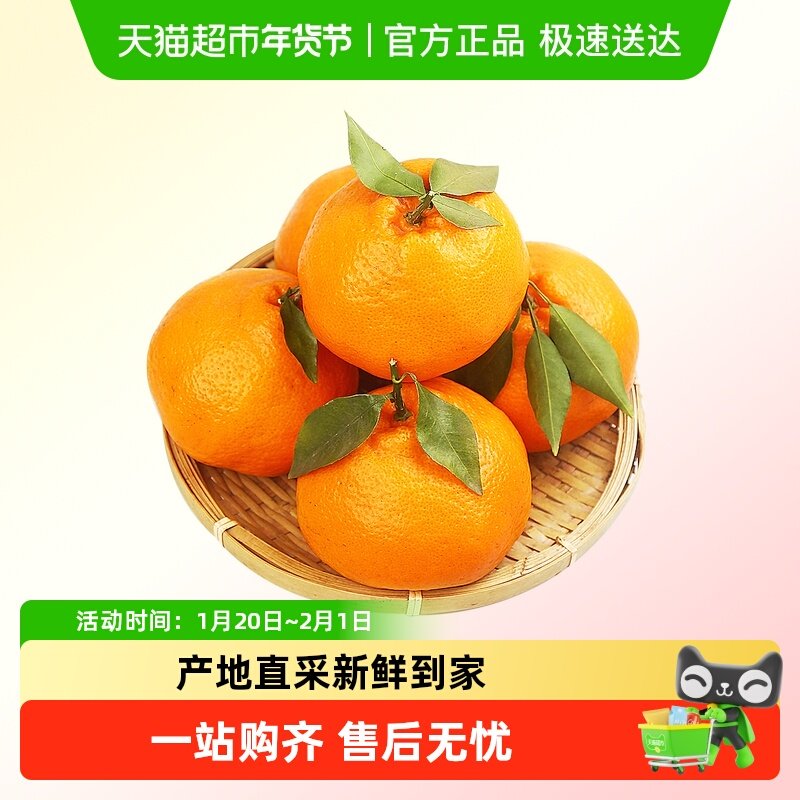 柠满园正宗四川眉山春见耙耙柑当季新鲜水果应季桔子粑粑柑橘子,水产肉类/新鲜蔬果/熟食,橙,淘宝优惠券,粉丝福利购,淘宝优惠卷