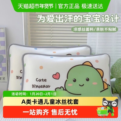 A类卡通儿童冰丝枕套
