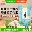 柔软弹牙 香糯清甜 金龙鱼臻选长粒香米10kg 1袋东北大米