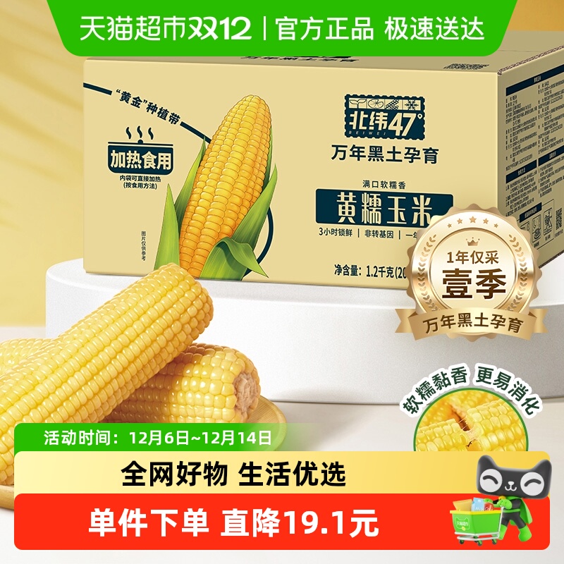 北纬47度黄糯鲜食玉米东北黑龙江玉米真空包装苞米棒杂粮