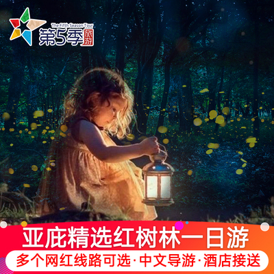 沙巴亚庇kawa红树林一日游