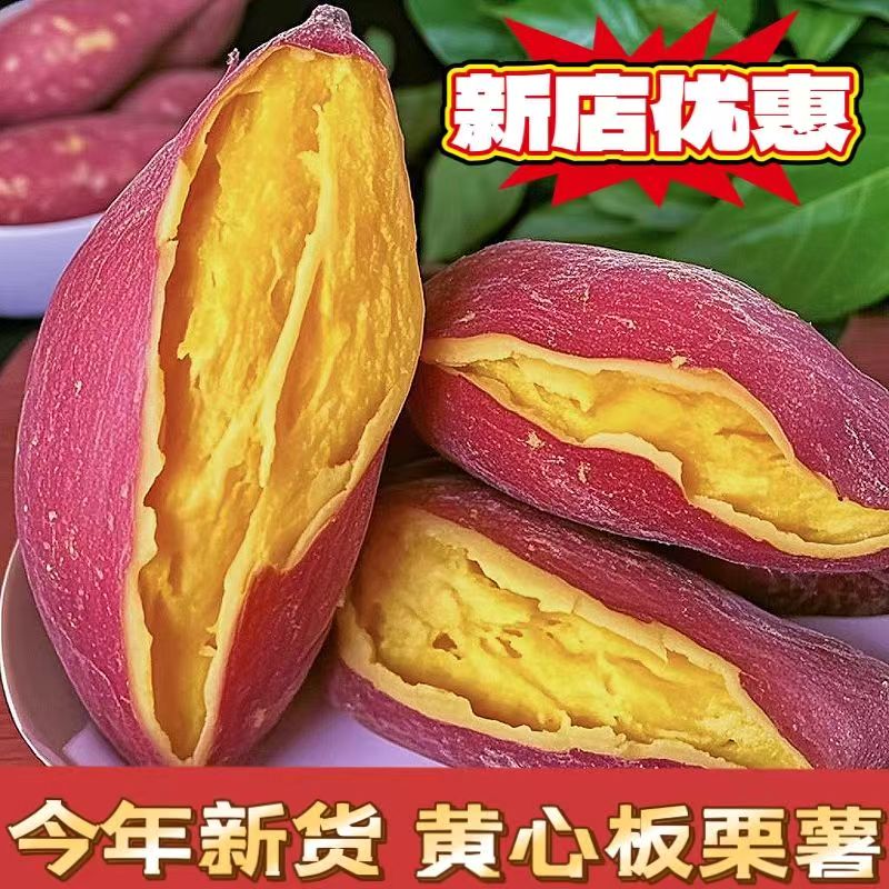 沙地蜜薯新鲜红薯9斤农家香甜薯板栗蜜薯黄红心烤地瓜糖心蜜薯