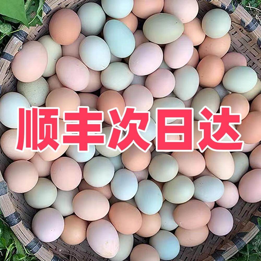 顺丰包邮农家散养正宗土鸡蛋自由觅食放养绿壳乌鸡蛋混合装20枚,水产肉类/新鲜蔬果/熟食,鸡蛋,淘宝优惠券,粉丝福利购,淘宝优惠卷