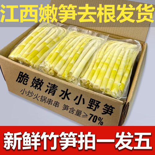 2025野生小竹笋清水笋小春笋嫩笋尖鲜笋高山嫩竹笋火锅笋商用批发