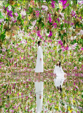 [丰洲TeamLab Planets TOKYO美术馆-大门票]1