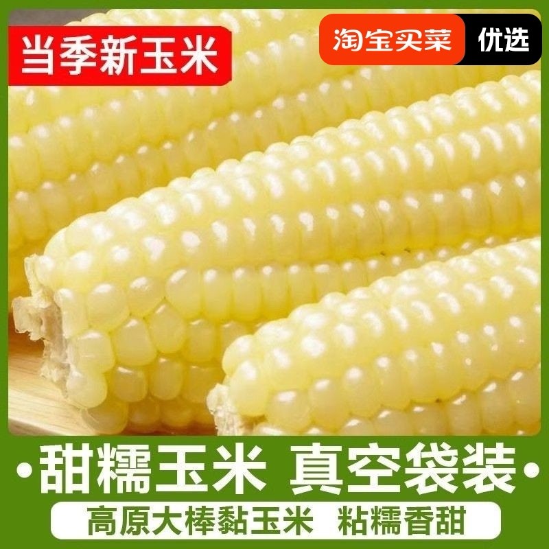 东北白糯玉米甜糯粘玉米棒真空包装黏玉米新鲜粗粮代餐非即食玉米