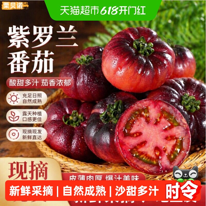 栗贝诺山东寿光紫罗兰西红柿4.5斤清爽爆汁果腔饱满番茄味浓郁