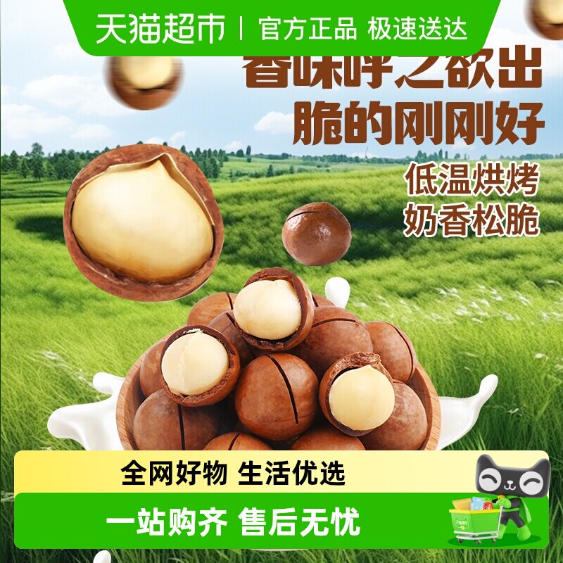 薛记炒货夏威夷果奶油味夏威夷果坚果大颗粒23-25mm