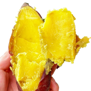 2025黄金板栗薯新鲜现挖广东栗子王红薯优质上选大薯可口