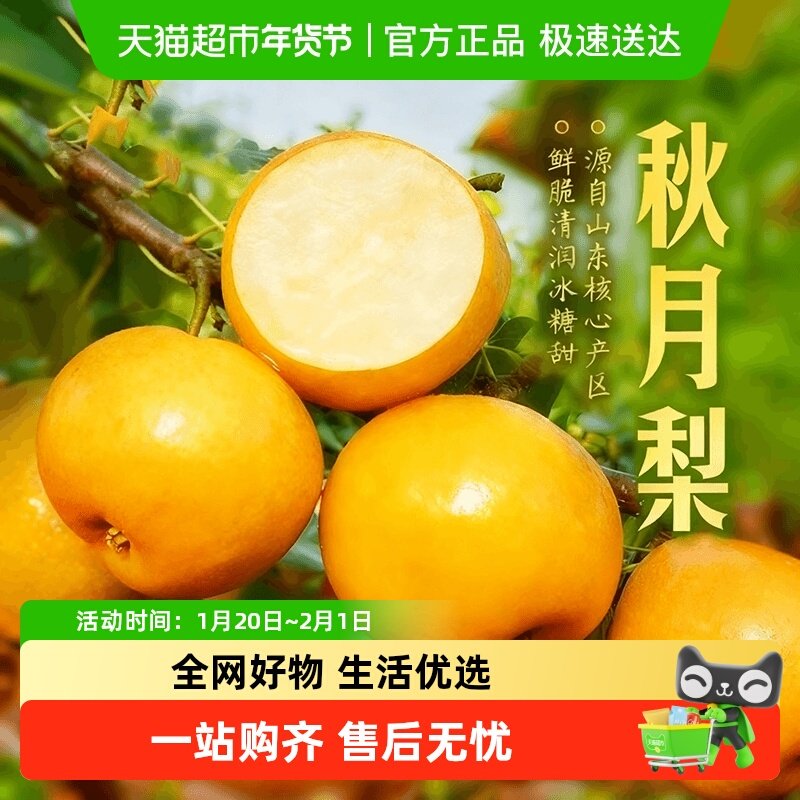 顺丰山东莱阳秋月梨羊脂梨礼盒新鲜水果冰糖梨子孕妇送礼脆甜多汁,水产肉类/新鲜蔬果/熟食,梨,淘宝优惠券,粉丝福利购,淘宝优惠卷