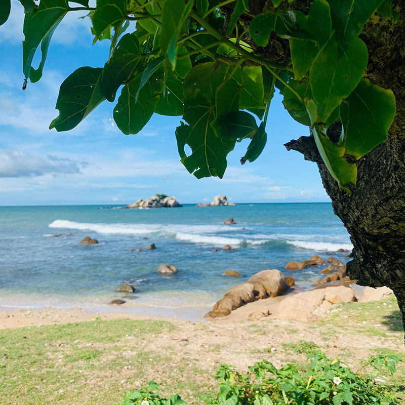 斯里兰卡定制游7天5晚 每张订单独立成团 2人起订 不含机票