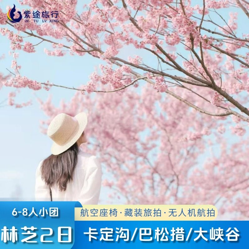 西藏林芝2日游巴松措南迦巴瓦峰雅鲁藏布江跟团游2天一晚跟团,度假线路/签证送关/旅游服务,境内跟团游,淘宝优惠券,粉丝福利购,淘宝优惠卷