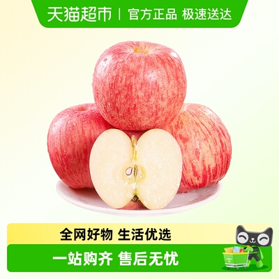 米乐果陕西洛川红富士苹果