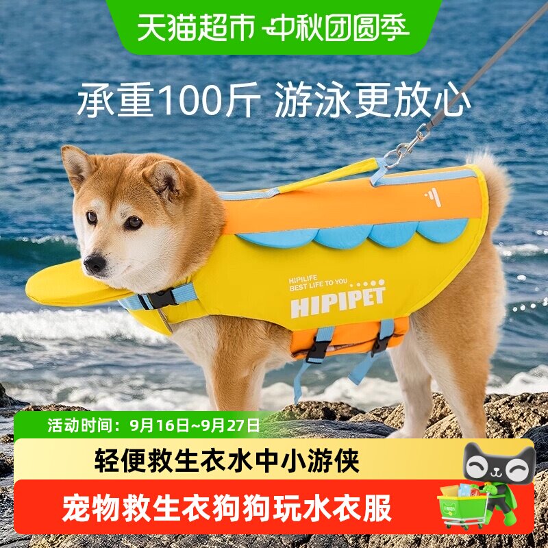 嬉皮狗中大型狗狗夏天玩水泳衣										