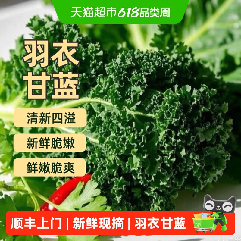 顺丰上门新鲜现摘羽衣甘蓝嫩叶kale健身减榨汁西餐食材脂蔬菜沙拉
