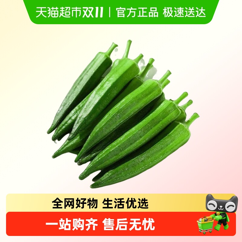 新鲜秋葵当季新鲜蔬菜秋葵鲜嫩黄秋葵净重现摘秋葵