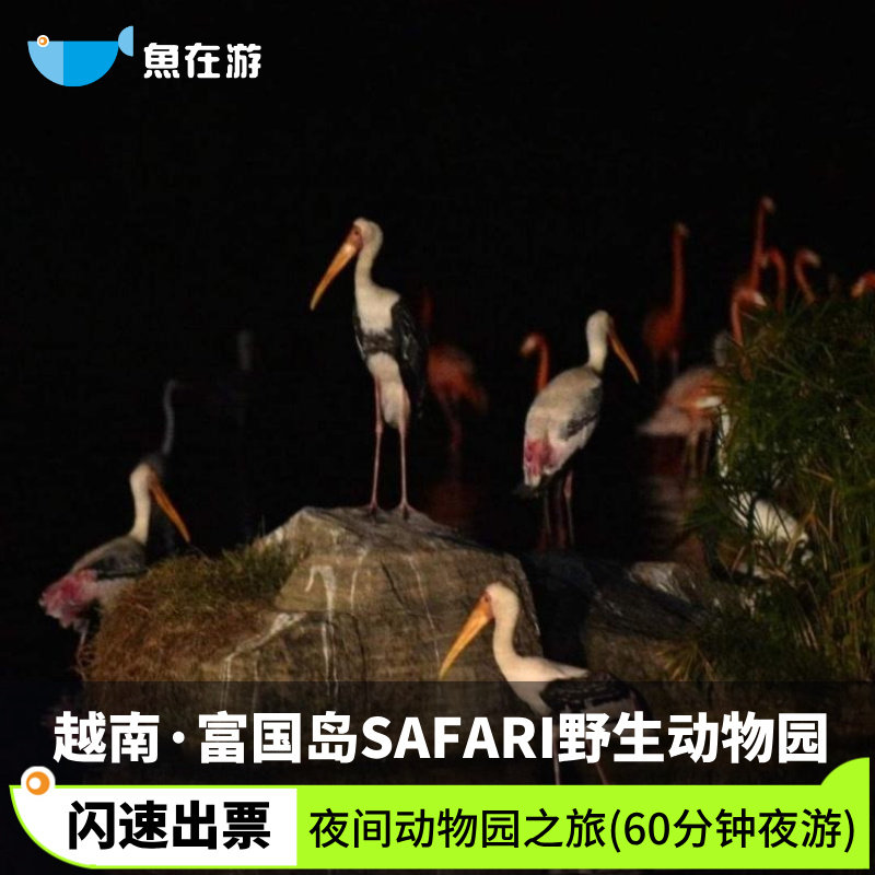 [富国岛SAFARI野生动物园-夜间动物园之旅]越南旅游珍珠野生动物园60分钟夜游亲子错峰出行闪速出票可定当日,度假线路/签证送关/旅游服务,国外票务(景点/赛事/演出),淘宝优惠券,粉丝福利购,淘宝优惠卷
