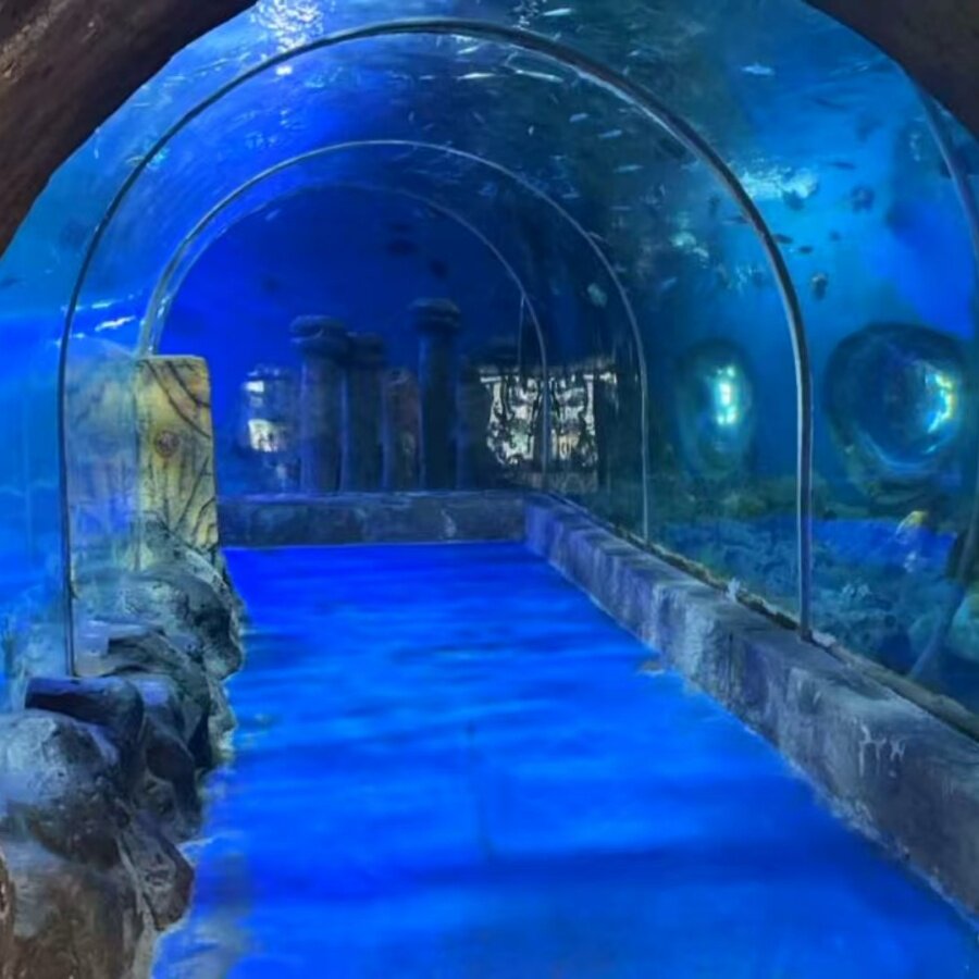 [海之语海洋世界-门票]海口观澜湖海之语海洋世界门票
