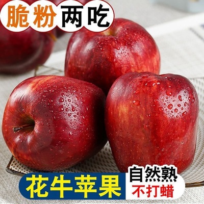 花牛苹果天水正宗新鲜应季水果粉面脆甜蛇果宝宝辅食平果整箱包邮