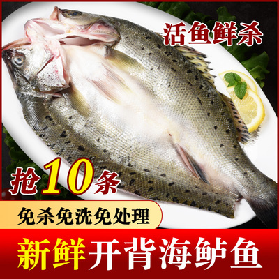 海鲈鱼开背新鲜冷冻鲜活深海鱼白蕉七星海卢鱼水产烤鱼半成品商用