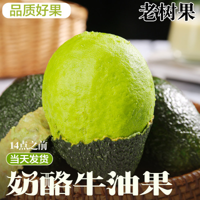 哈斯牛油果新鲜水果大果即食当季整箱包邮孕妇熟透一级鳄梨奶油香
