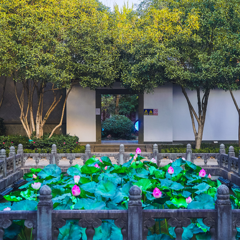 [西施故里-中国历代名媛馆-夜场票]提前一天预定