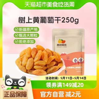 西域美农树上黄无核白葡萄干250g吐鲁番提子蜜饯干果干零食葡萄干