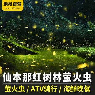 马来西亚仙本那红树林一日游萤火虫ATV半日游长鼻猴马来西亚海钓