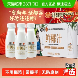 椰谷鲜椰汁正宗椰肉生榨含糖无防腐早餐奶饮品果汁椰奶椰子汁饮料