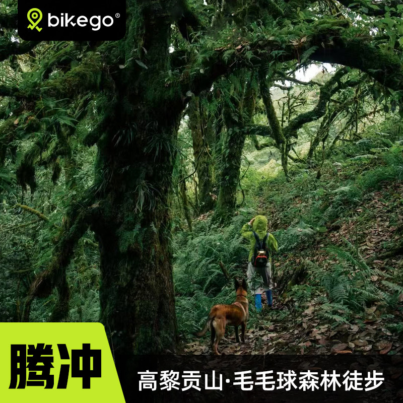 云南高黎贡山徒步一日游