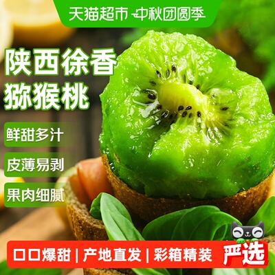 京运达陕西徐香猕猴桃
