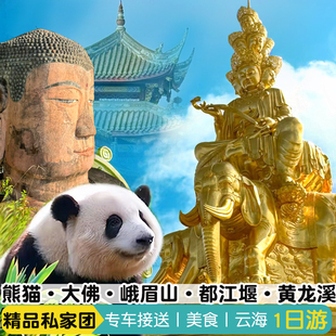 私家团2-8人都江堰峨眉山乐山大佛熊猫周边游包车小团成都一日游