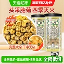 公和堂胎菊白菊茶养生菊花茶非特级旗舰黄菊凉茶泡水喝