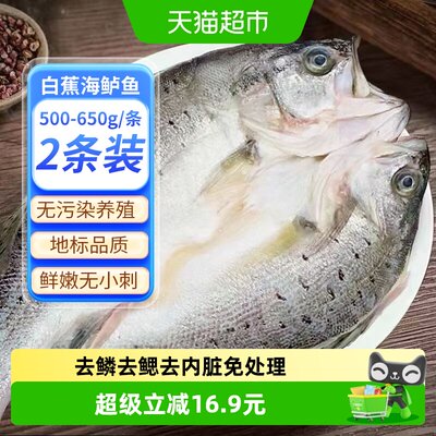 钓鱼记开背海鲈鱼嫩滑500g*2条