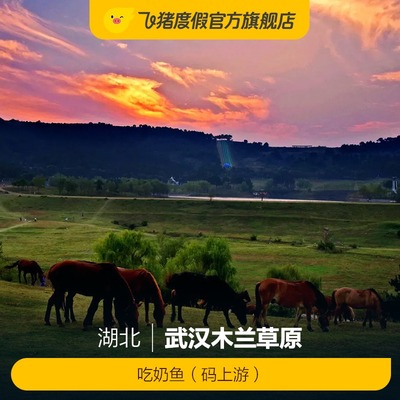 武汉木兰草原吃奶鱼