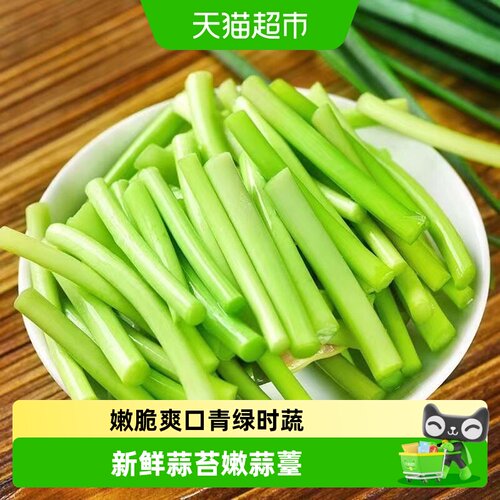 鲁香德现采鲜达嫩蒜薹头蒜毫蒜薹