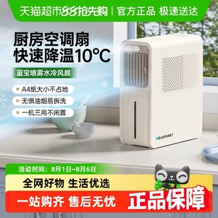 蓝宝厨房冰雾扇专用电风扇小空调冷风机家用防油烟制冷非壁挂水冷
