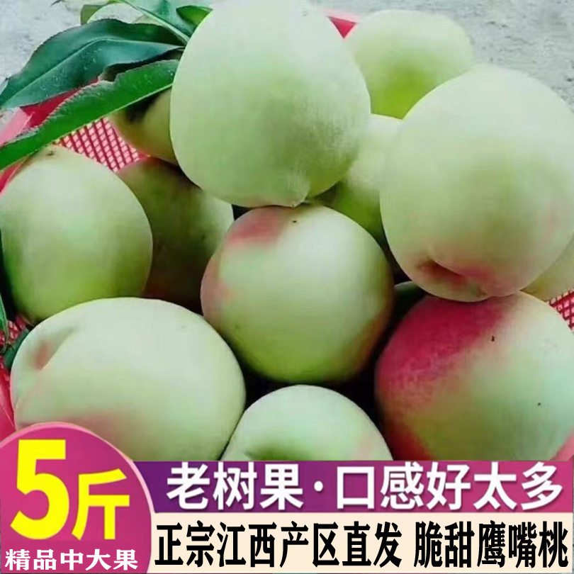 清甜爽口，肉质脆嫩，果肉细腻，现摘现发，甜而不腻