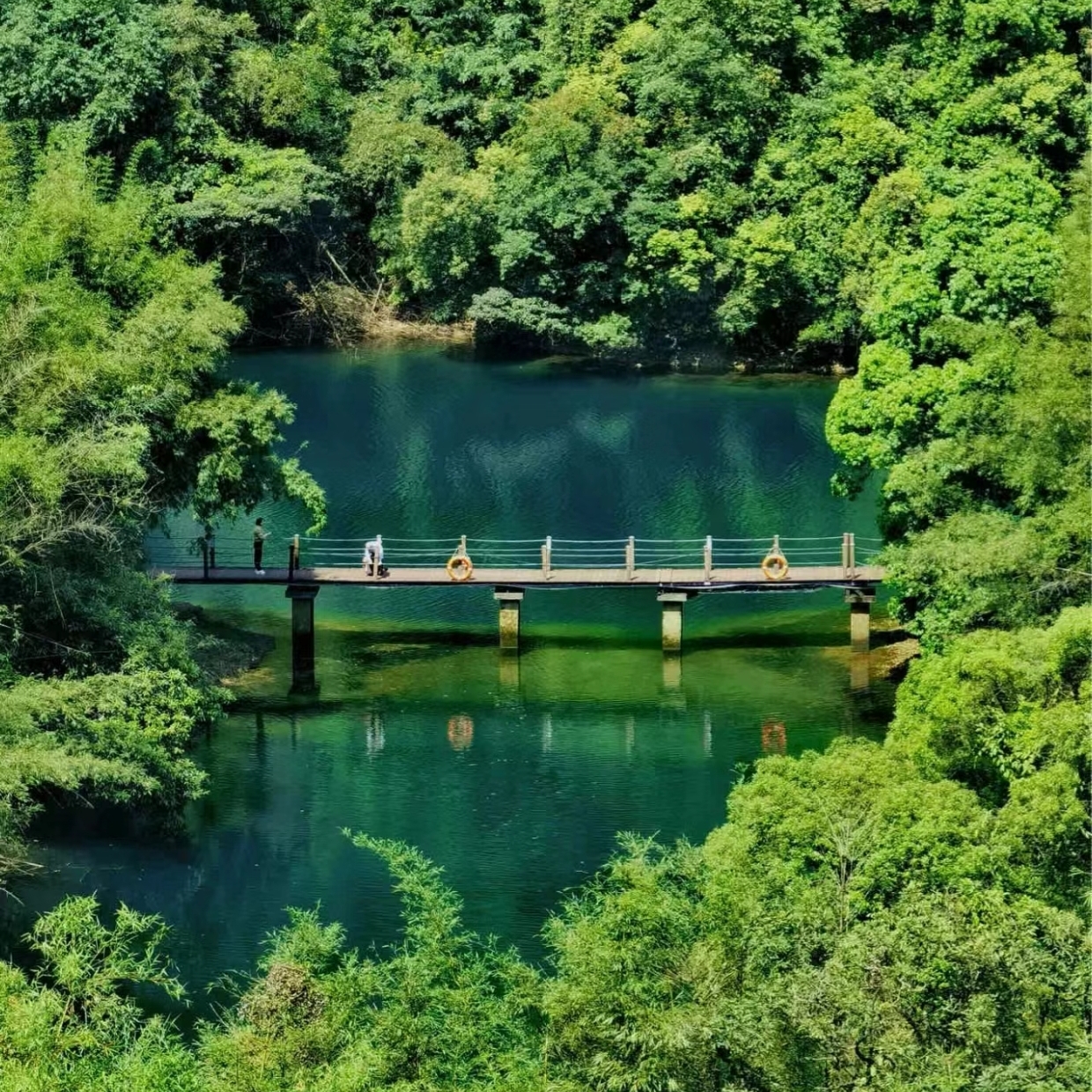 【问鼎肇庆】鼎湖山丨九龙宝鼎祈福+庆云寺+瀑布溯溪 一天游