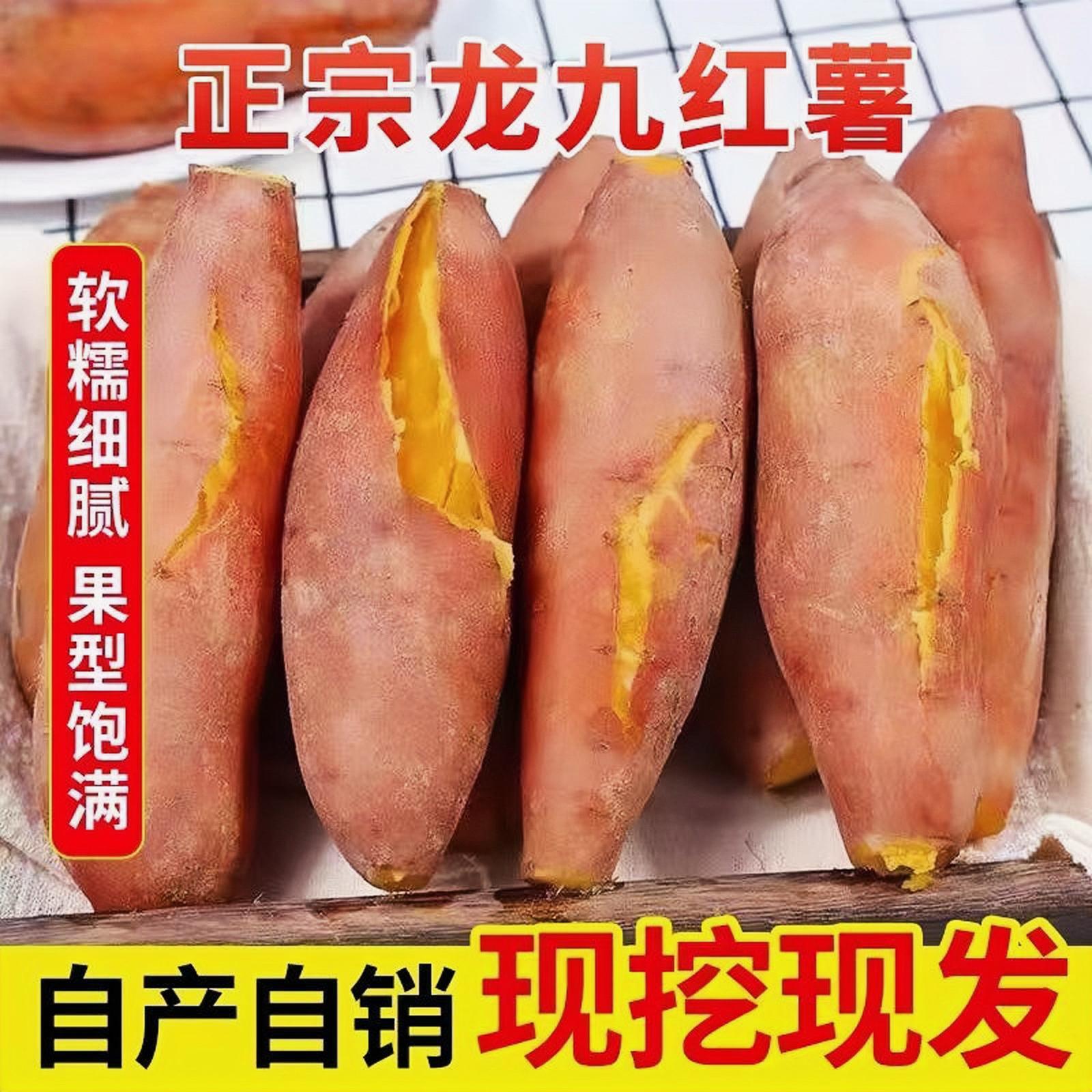 河南沙地龙九红薯黄心蜜薯现挖现发新鲜甜美嫩滑优质健康美味