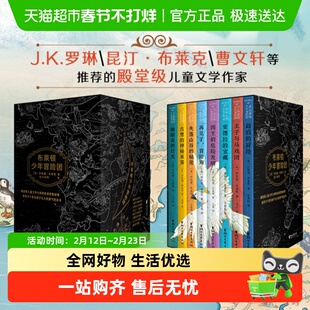 布莱顿少年冒险团8册 幽暗岛的灯光三四五年级推理故事