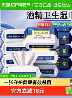丽佳宝贝酒精湿纸巾家用学校学生卫生酒精杀菌加大带盖80抽12包