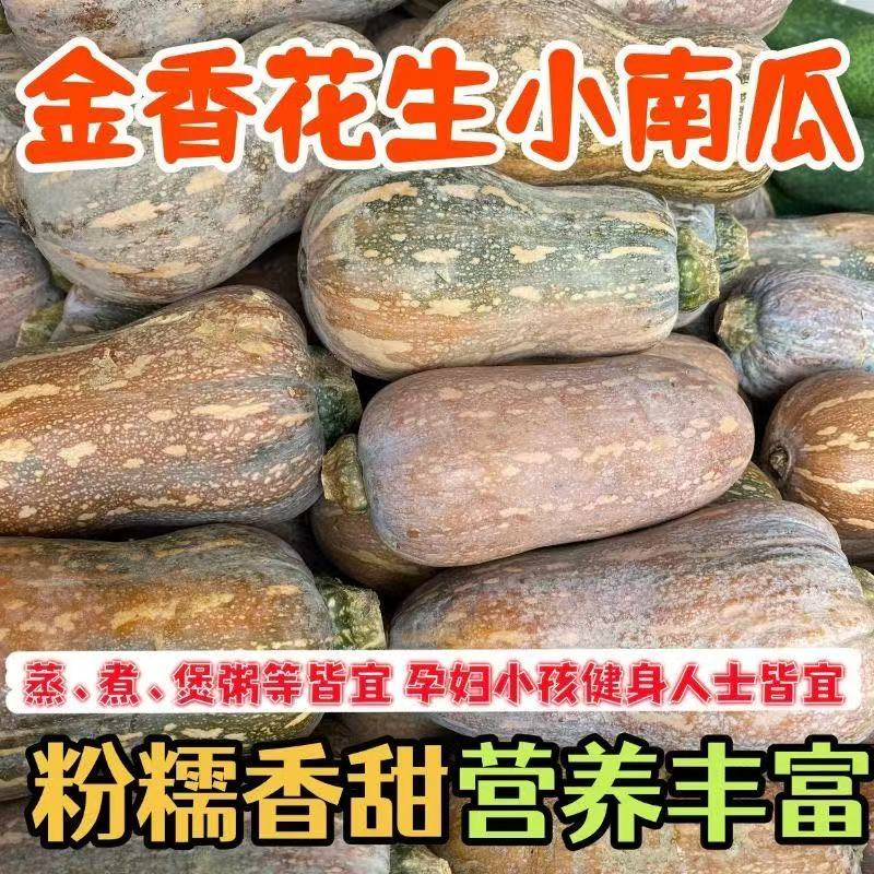 农家自种小金香南瓜新鲜花生南瓜软糯香甜产地直发优质精选贝贝