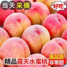 桃子5斤新鲜水果现摘红心软桃当季毛桃整箱脆桃应季时令水蜜桃子