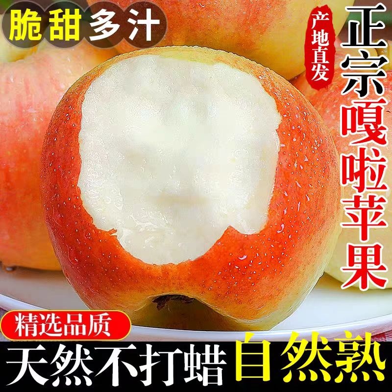 新鲜采摘，精品好果脆甜爽口，清香扑鼻，个大饱满，肉厚细腻