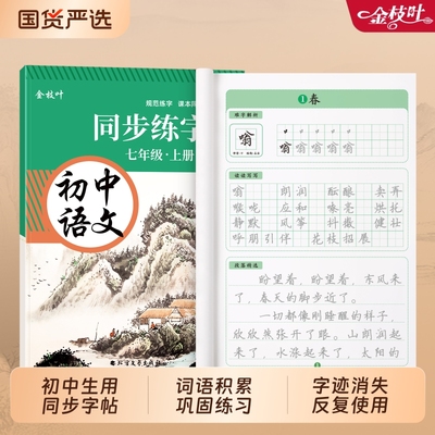 语文练字帖初中生专用人教版同步